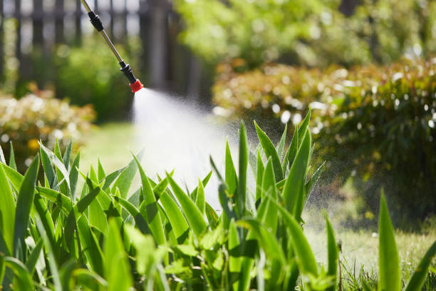 24/7 Emergency Wasp Removal experts in Springtown, TX