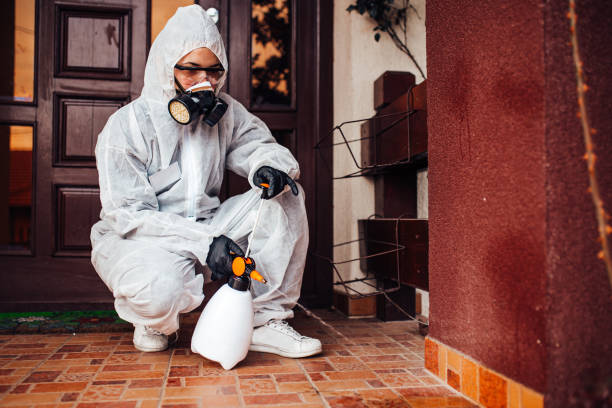 Reliable Wasp Removal contractor in Springtown, TX by Show Me Pest Control